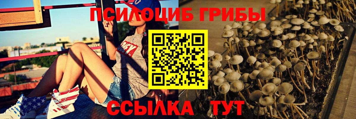 Елец  Псилоцибиновые грибы прущие грибы  Вход с VPN 