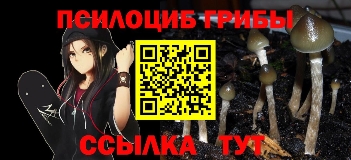 Псилоцибиновые грибы мицелий Елец